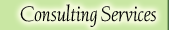 Consulting Services